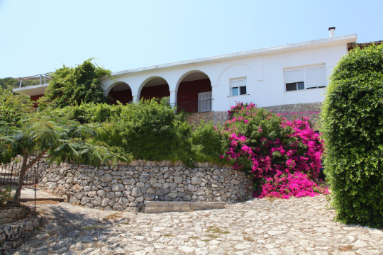 uec_gr_crete_kissamou_orthodox_academy_of_crete_flowers