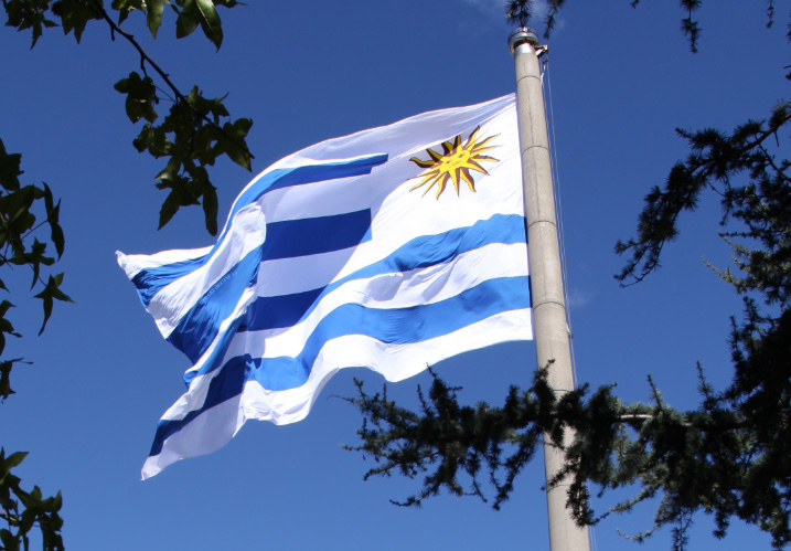 flag of Uruguay and the sun